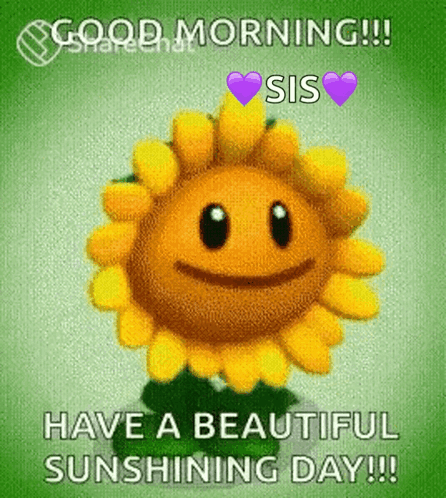Beautiful Good Morning Happy Sunflower GIF