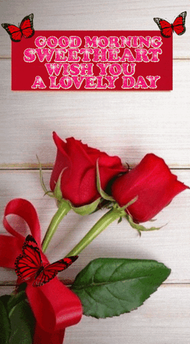 Beautiful Good Morning Red Roses GIF