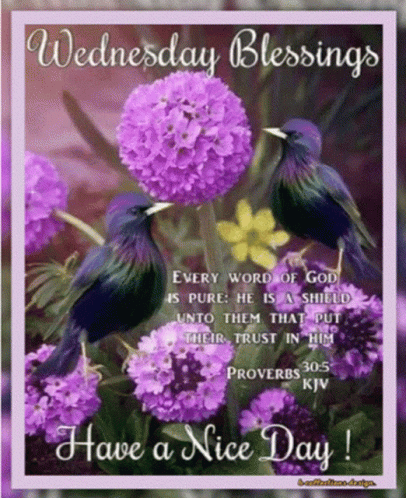 Beautiful Good Morning Wednesday Blessings Proverbs GIF