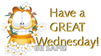 Beautiful Good Morning Wednesday Garfield GIF