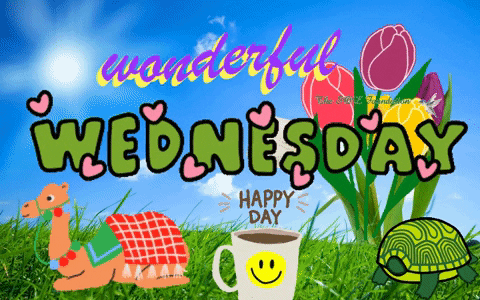 Beautiful Good Morning Wednesday Picnic GIF