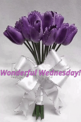 Beautiful Good Morning Wednesday Purple Tulips Glittering GIF