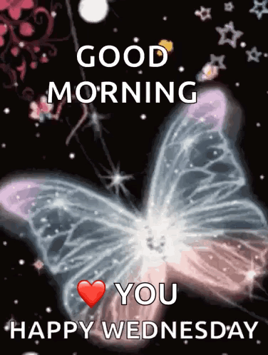 Beautiful Good Morning Wednesday Transparent Butterfly GIF