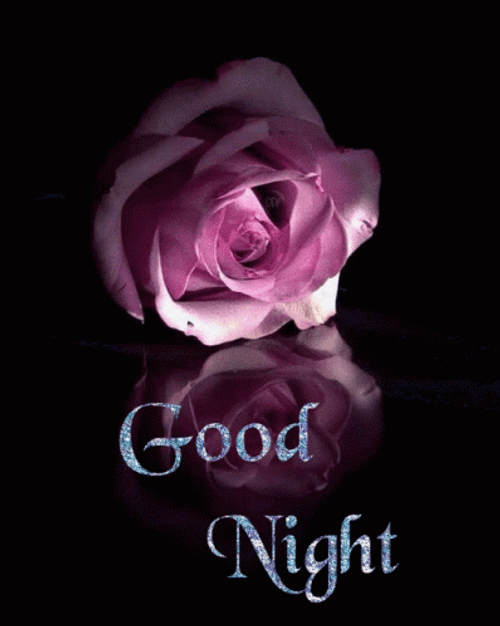 Beautiful Good Night With Pink Rose GIF
