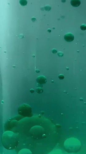 Beautiful Green Lava Lamp GIF