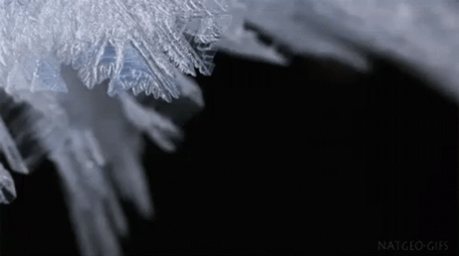 Beautiful Growing Snowflake GIF
