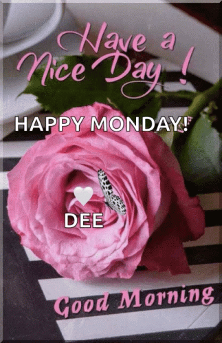Beautiful Happy Monday Pink Rose GIF