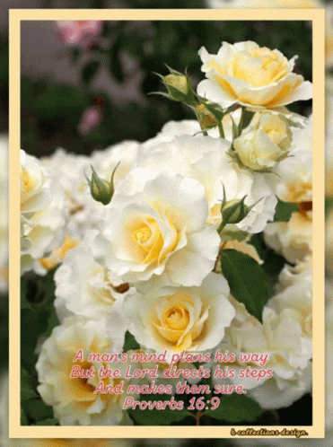 Beautiful Happy Monday Plan It's Way GIF