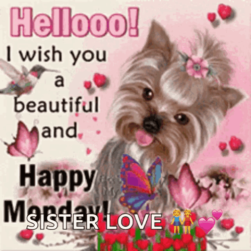 Beautiful Happy Monday Sisters Love GIF