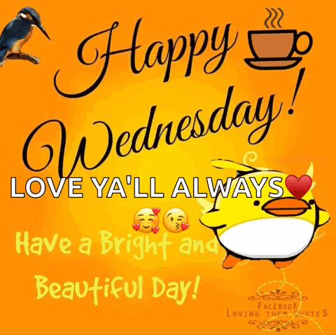 Beautiful Happy Wednesday Love Y'all Always GIF
