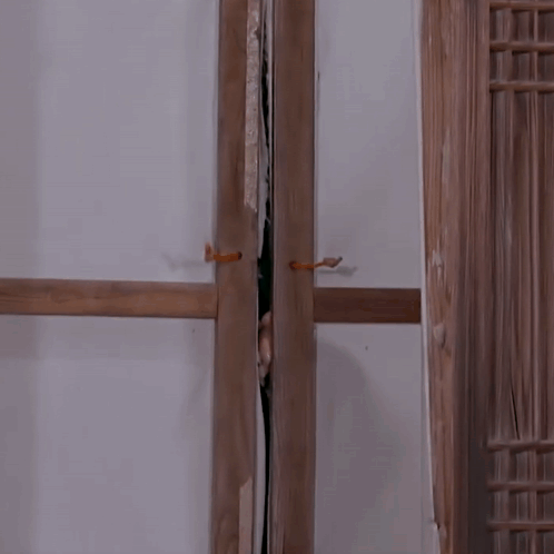 Beautiful Korean Girl Open The Door GIF