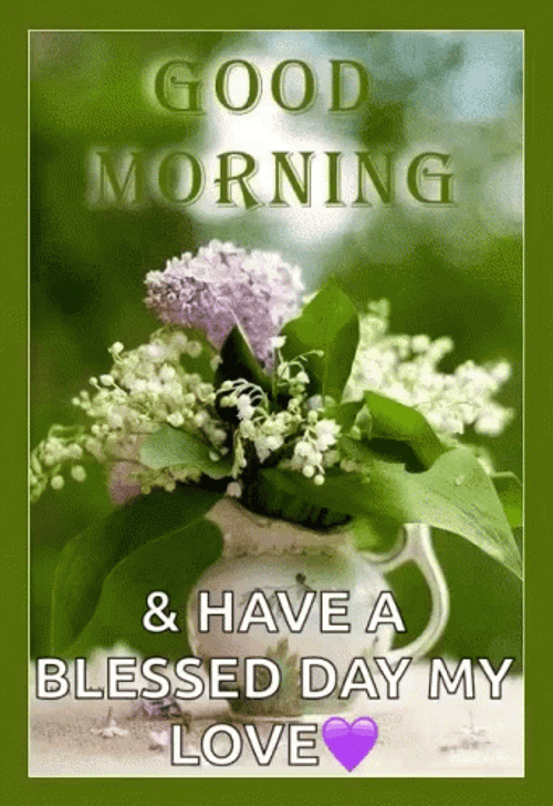 Beautiful Lily Good Morning Have A Blessed Day GIF