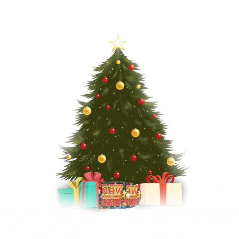 Beautiful Message Merry Christmas GIF