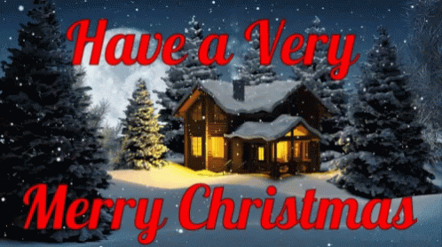 Beautiful Winter Night Merry Christmas GIF