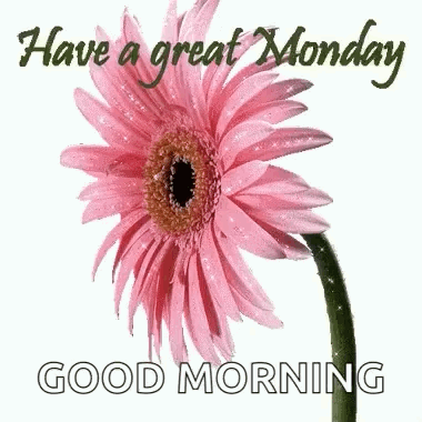 Beautiful Monday Pink Bloom Graphics Design GIF