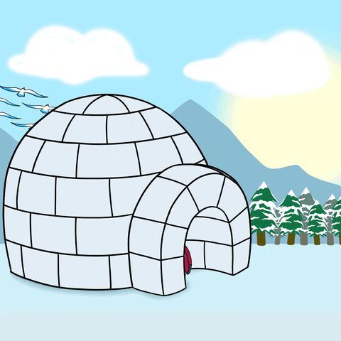 Beautiful Monday Pudgy Penguin Igloo House GIF
