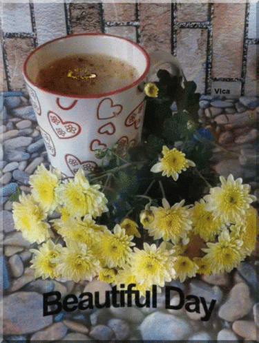 Beautiful Morning Daisy Coffee GIF