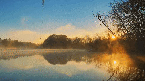 Beautiful Morning Nature Mist GIF