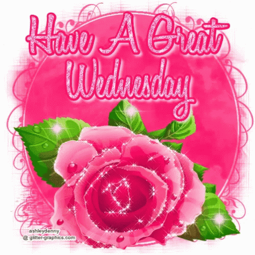 Beautiful Pink Rose Happy Wednesday GIF