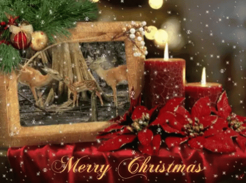 Beautiful Red Candles Christmas Card GIF
