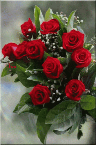 Beautiful Red Roses Bouquet GIF