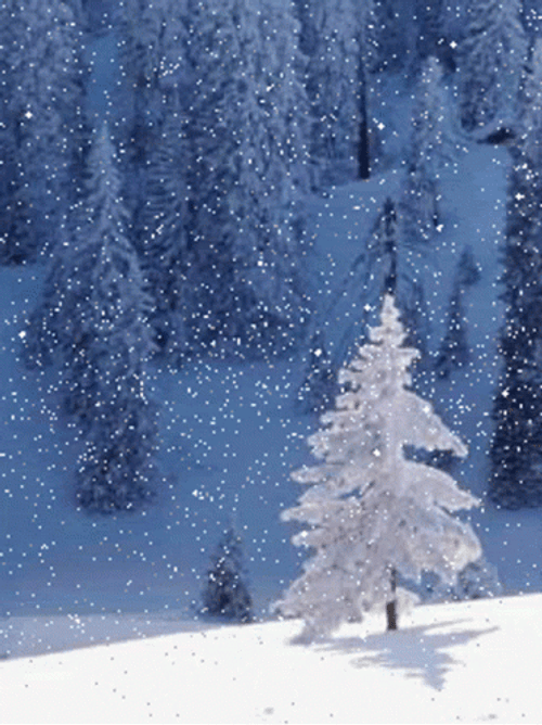 Beautiful Snow Fall GIF