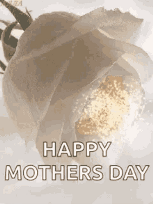 Beautiful Sparkling White Rose Happy Mothers Day Niece GIF