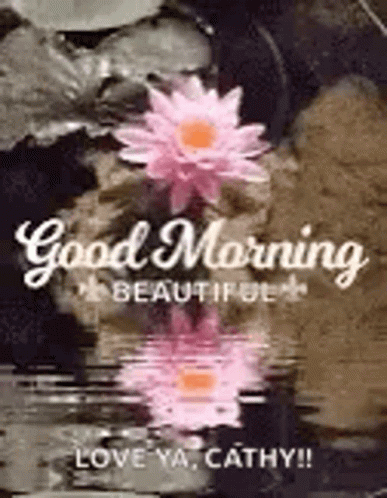 Beautiful Special Good Morning GIF