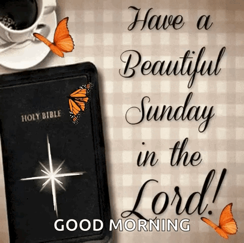 Beautiful Sunday with Bible and Butterflies