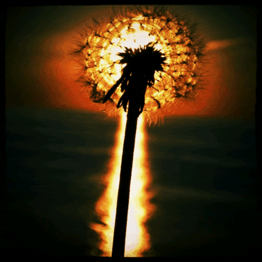 Beautiful Sunflower Art GIF