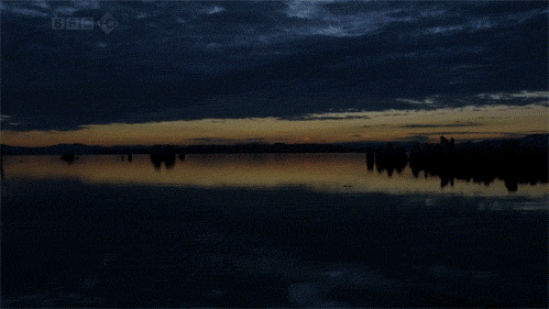 Beautiful Sunset GIF