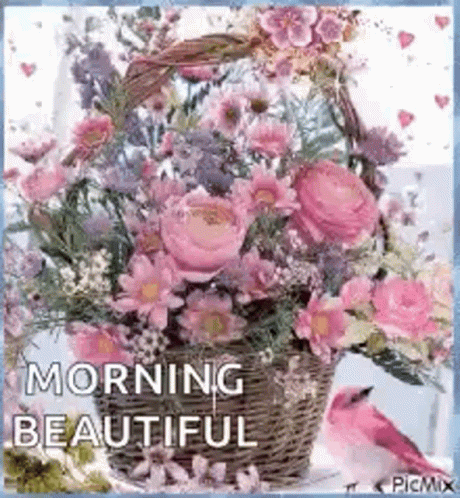 Beautiful Tuesday Flowers In Basket GIF