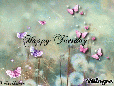Beautiful Tuesday Pretty Butterfly GIF