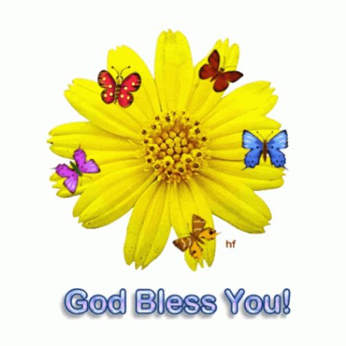 Beautiful Yellow Flower God Bless You GIF