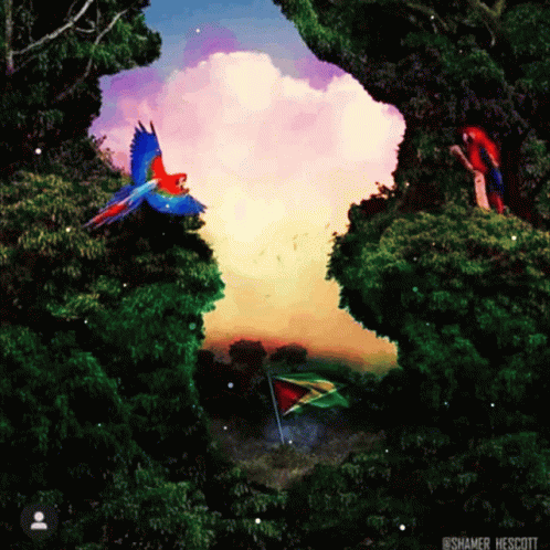 Beauty Of Guyana GIF