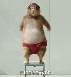 Hilarious Beaver Sexy Dance GIF