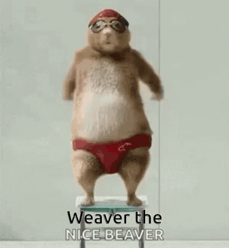 Chubby Beaver Weaver The Nice Beaver Dancing GIF