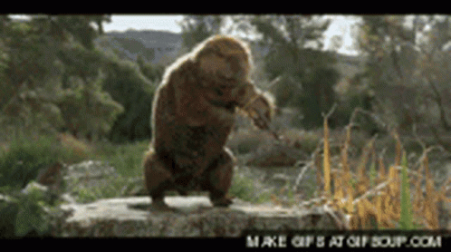 Beaver Serenading Girls With Violin GIF