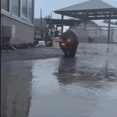 Sneaky Beaver Hoarding Carrots GIF