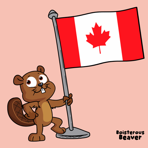 Beaver Holding Canadian Flag