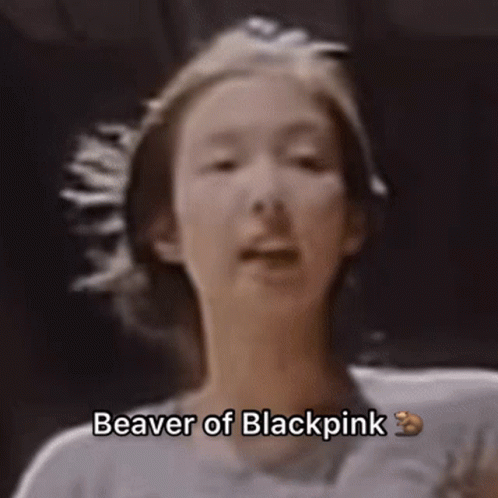 Beaver of Blackpink
