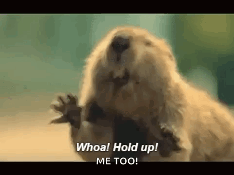 Beaver Saying Whoa! Hold Up! Me Too