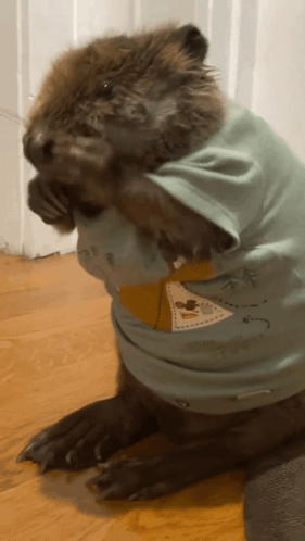 Beaver Wearing I Love You T-Shirt