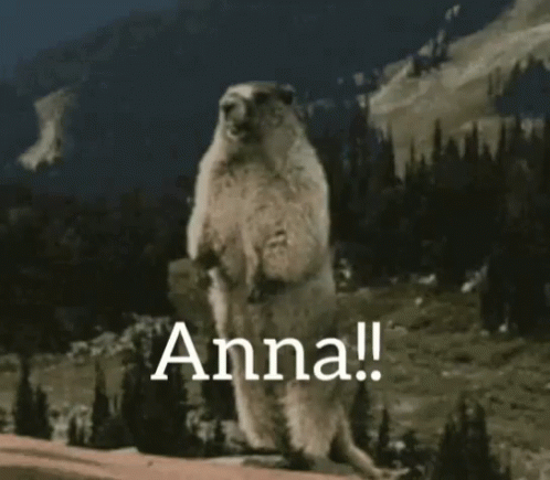 Beaver Yelling Anna GIF