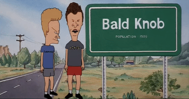 Beavis And Butt Head Bald Knob GIF
