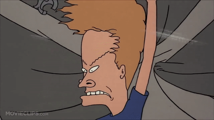 Beavis And Butthead Hump Out Car GIF