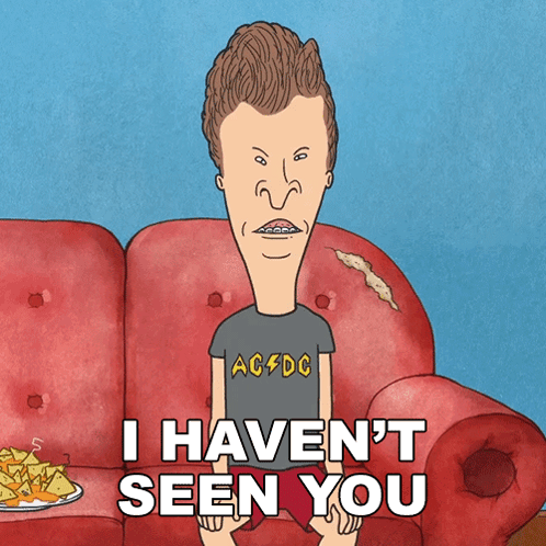 Beavis Sitting On Couch Saying I Haven't Seen You GIF