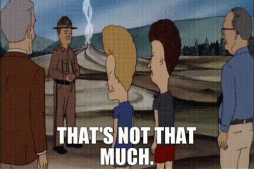 Beavis Thats Not That Much GIF