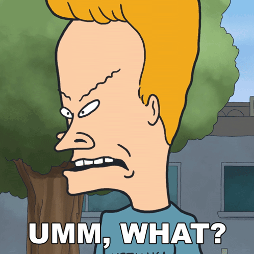 Beavis Umm What GIF