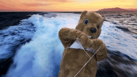 Becky Beaver Ski In The Sea GIF